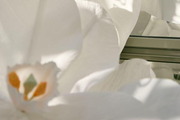 ULTIMATE BLACK ORCHID AGE REVERSE 90 MIN