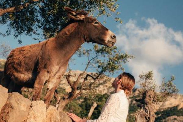 Sensational Shave For Men