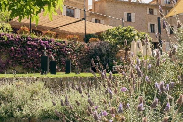 Plant based reconstruction treatment