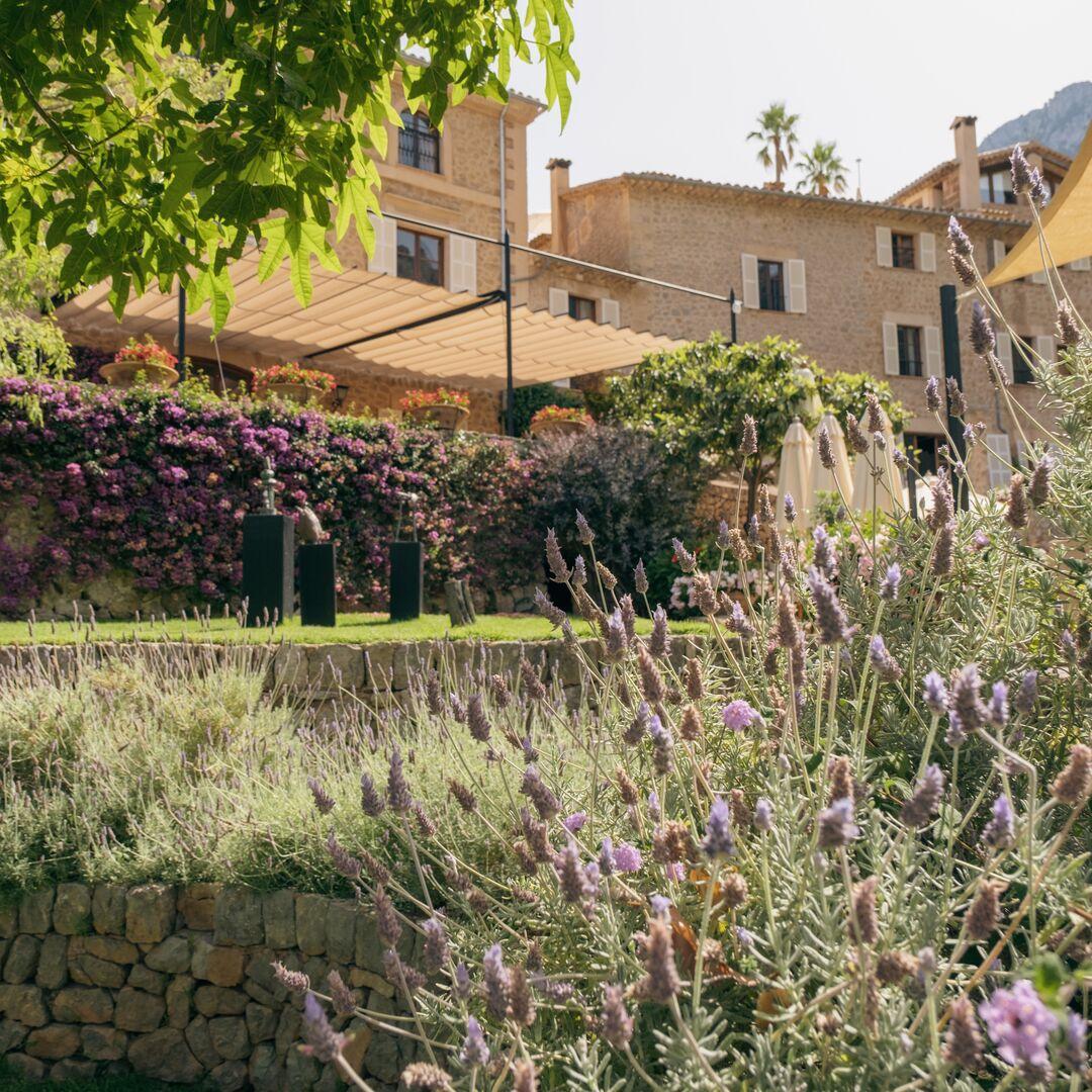 Plant based reconstruction treatment