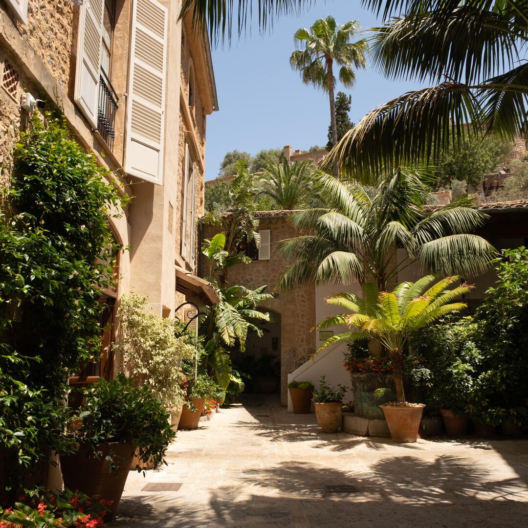 Men's Precision Cutting wet or dry