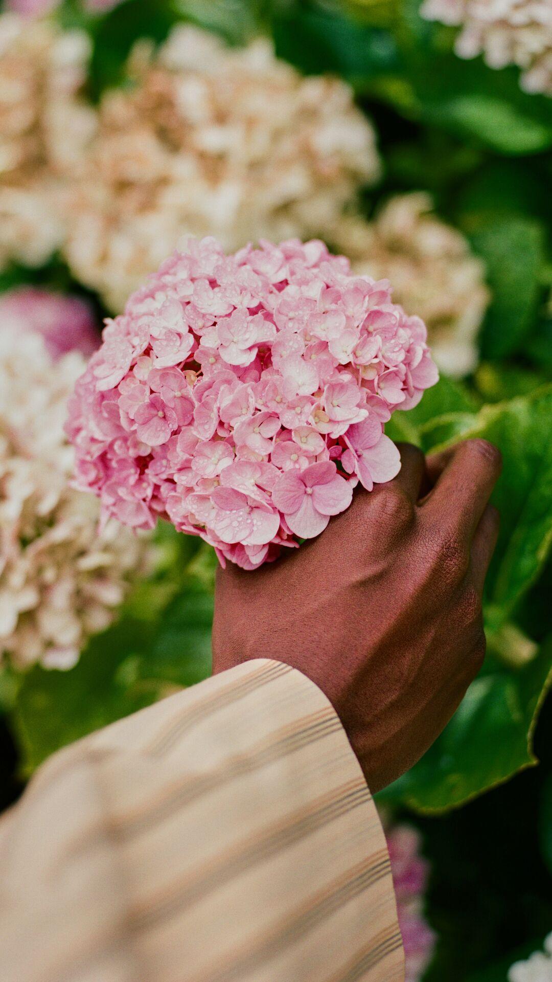 Semi Permanent, vegetable and low oxidant colour