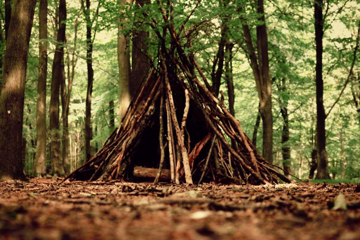 Forest School: Nature & Den Building Experience