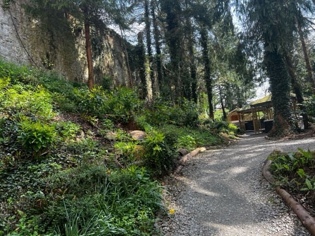 Resident Afternoon Access