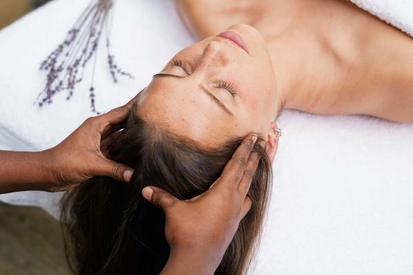 The Ayurvedic Experience