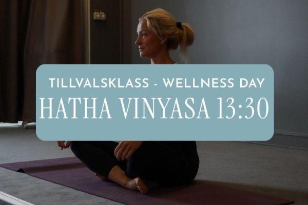 Tillval: Hatha Vinyasa 13:30 - 14:30 Linda Elfving