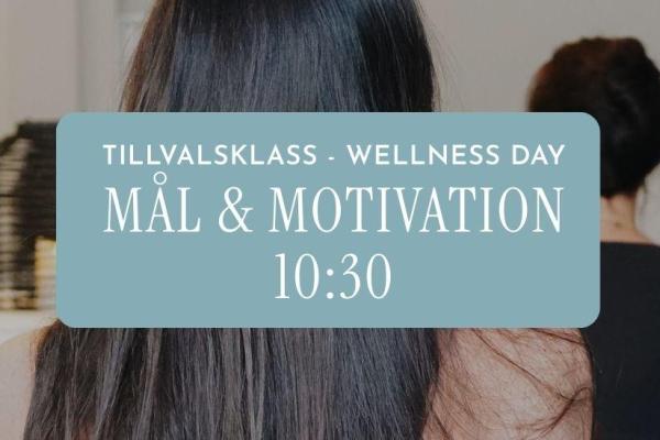 Tillval: Mål & Motivation 10:30 - 11:30 Bodil Frick