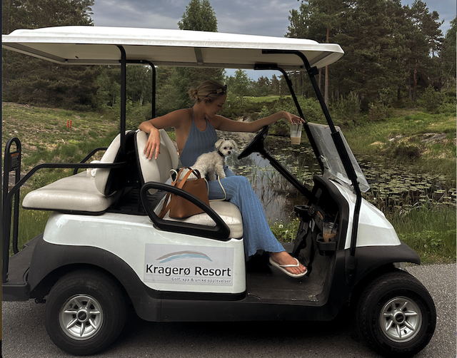 Golfbil utleie fra Resepsjon