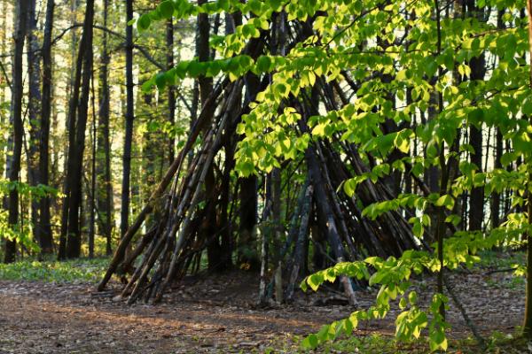 Forest School: Nature & Den Building Experience