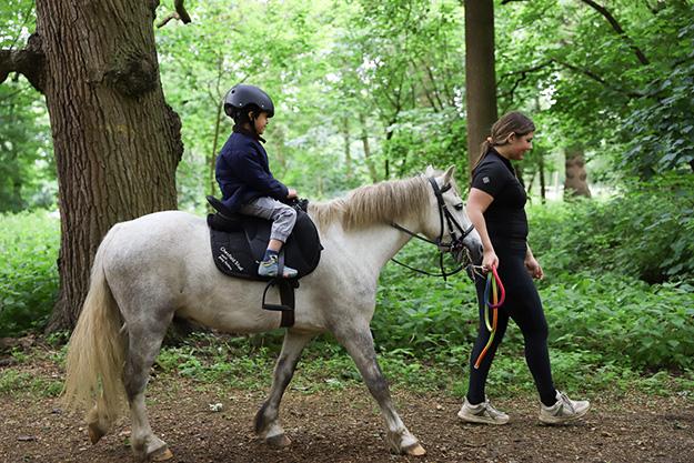 Woodland Pony Rides