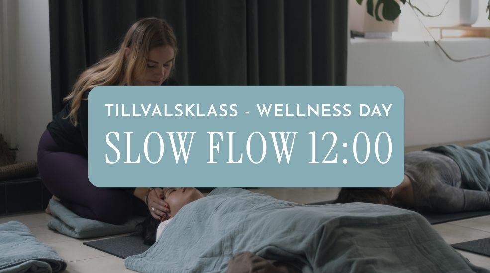 Tillval: Slow Flow 12:00 - 13:00 Elin Boyer