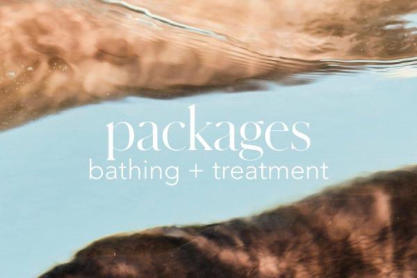 Packages | Bathing + 60min Treatment