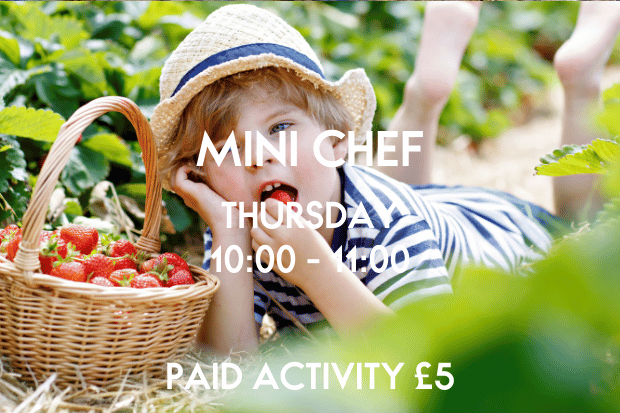 Mini Moritz - Mini Chef