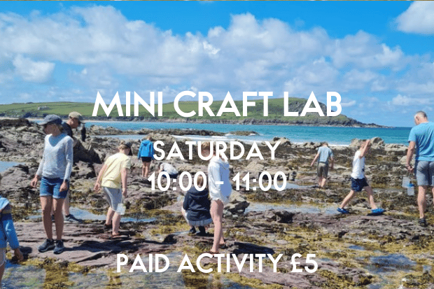Mini Moritz - Mini Craft Lab