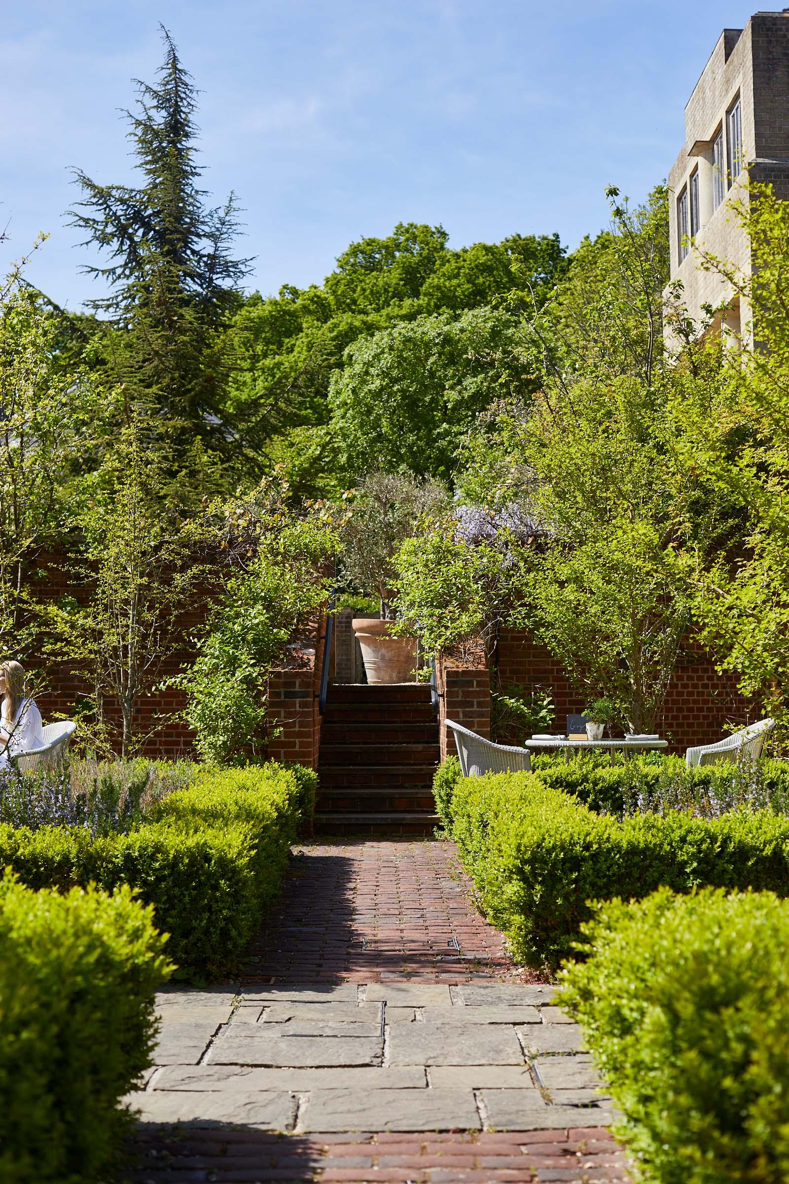 Moth and Nature Morning