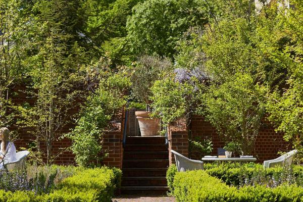 Moth and Nature Morning