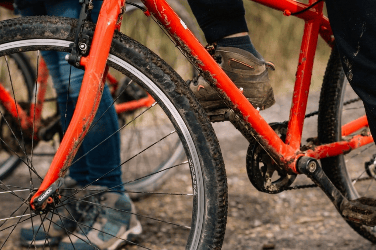 Large Child's Bike (Ages 14-16)