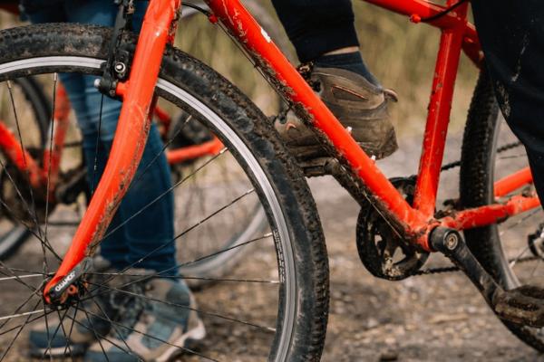 Large Child's Bike (Ages 14-16)