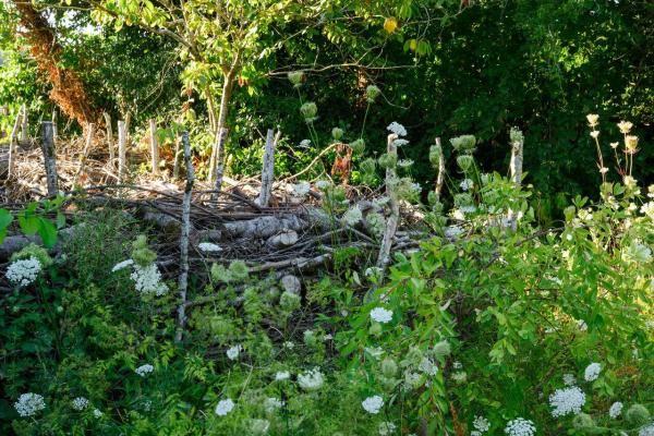 Earth Day at 42 Acres