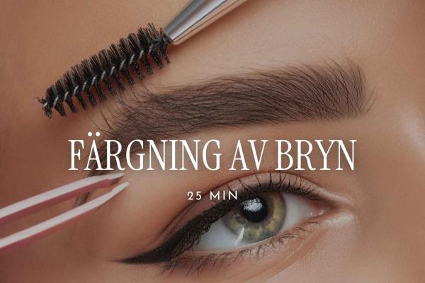 Färgning av bryn | 25 min