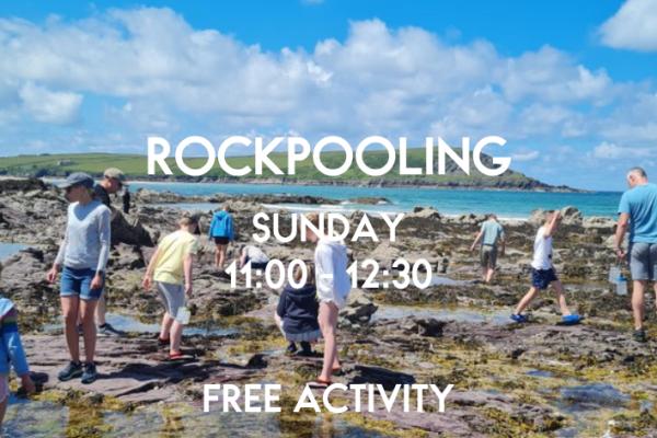 Rockpooling Special