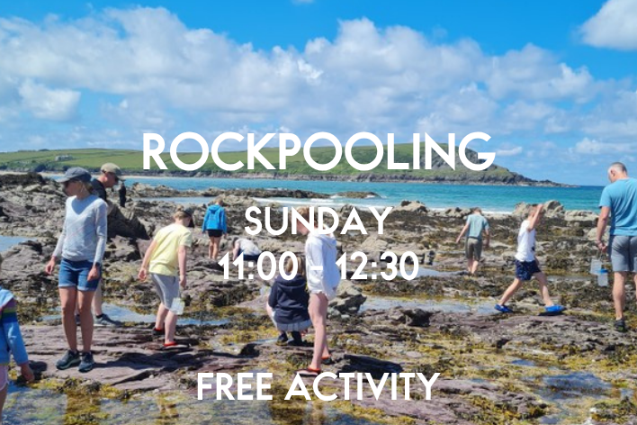Rockpooling Special