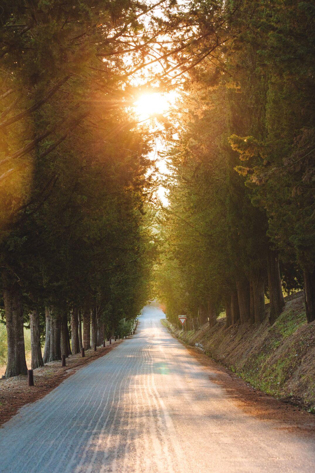 First Light Walk