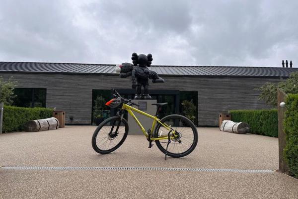 Unisex Adult Bike Hire