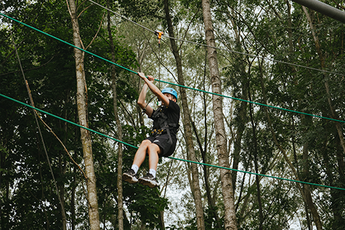 Tree Top Adventure - High Ropes
