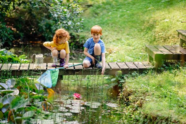 Summer Nature Adventure | Age 5+