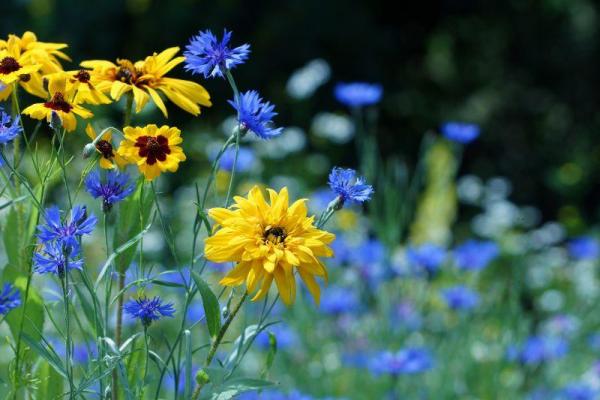 Summertime Mud & Relax