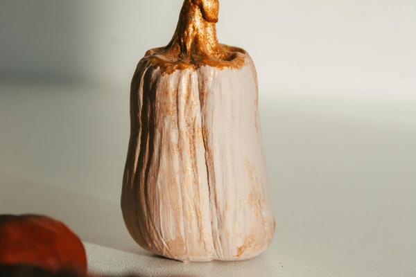 Pumpkin Patch Clay Creations