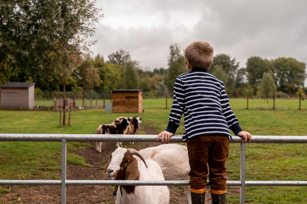 Mini Farm Visit (children must be supervised by an adult)