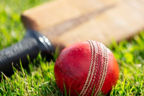 Cricket Nets