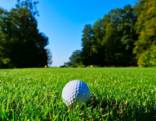 Golf Nets