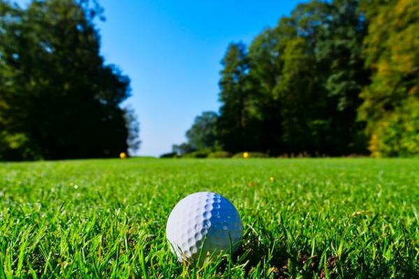 Golf Nets