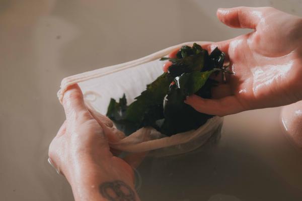 Sae Seaweed Summer Spa Day