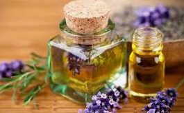 Lavender Dreams