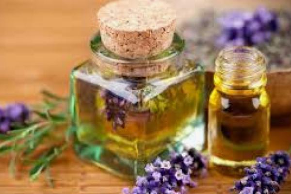 Lavender Dreams