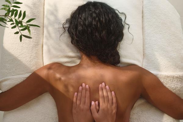 The Body Recovery Plan