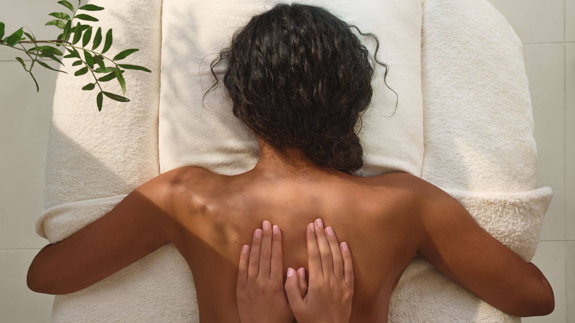 The Body Recovery Plan