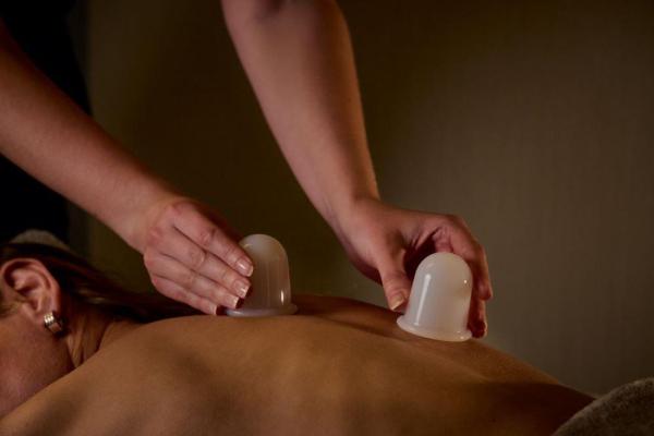 Ashmira Botanica - Meridian Rebalance Journey - 90 minutes