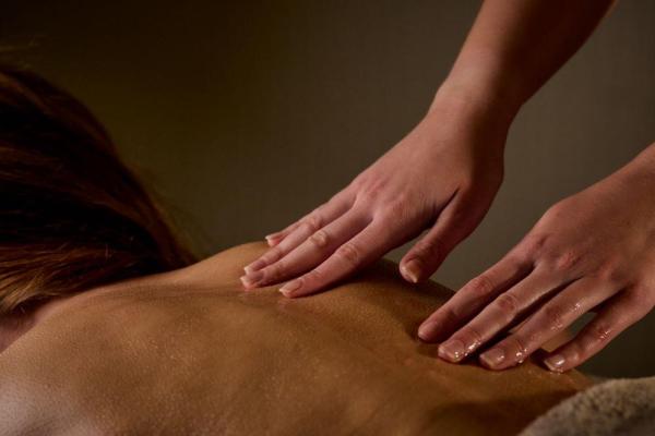 Ashmira Botanica- Pure Alchemy Facial & Back Treatment - 90 minutes