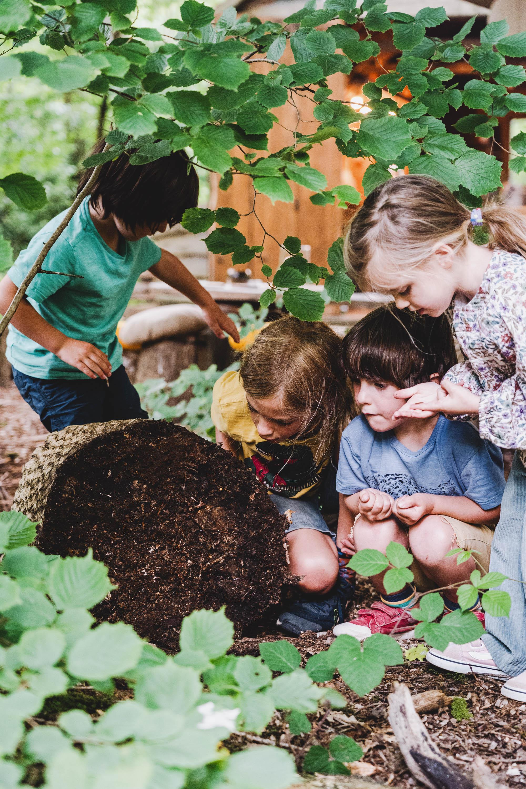Family Foraging [Join a Group]