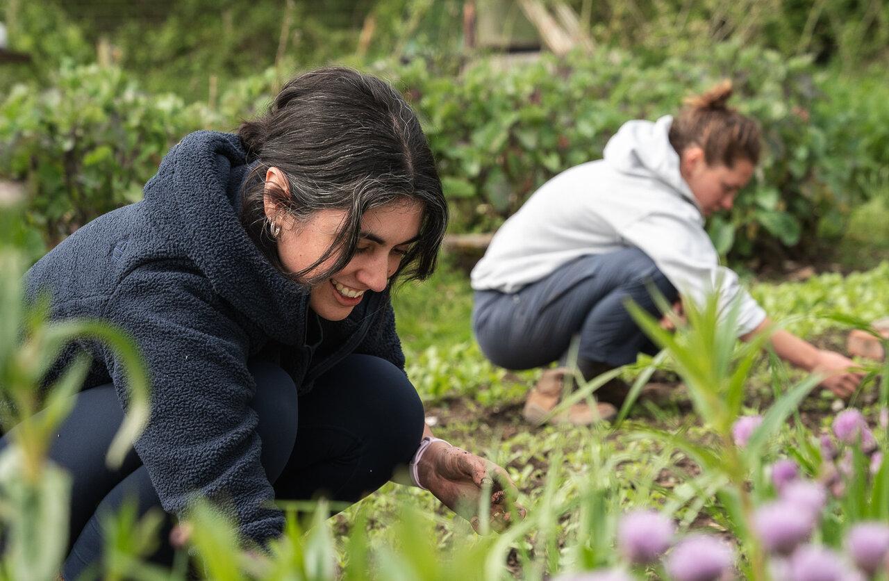 Permaculture Volunteer Day