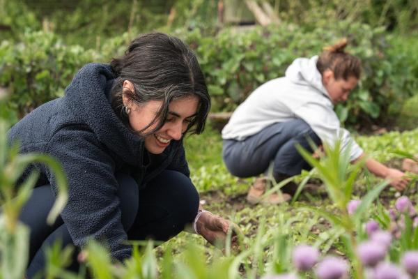 Permaculture Volunteer Day