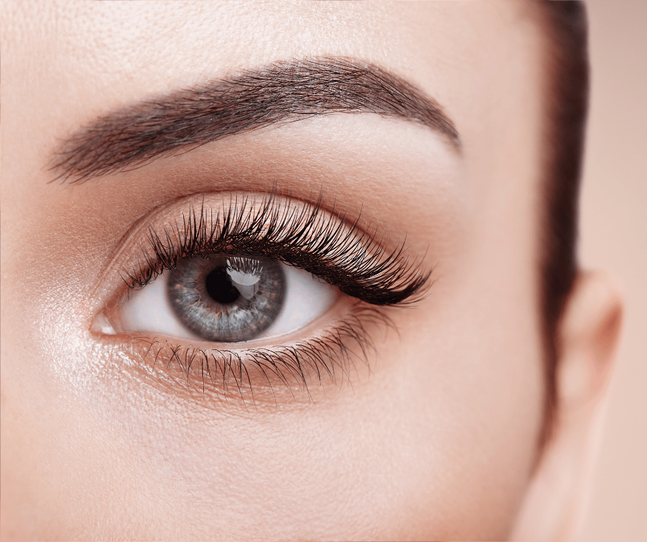 Lash & Brow Treatments