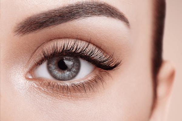 Lash & Brow Treatments