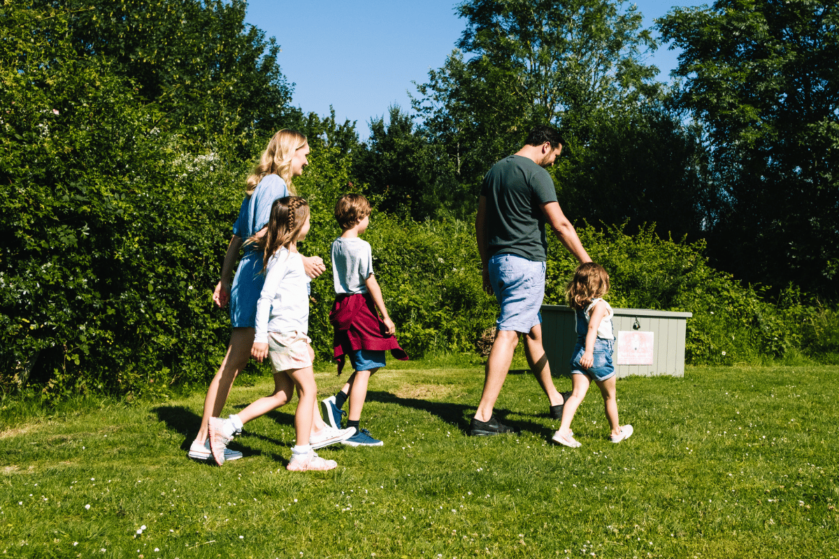 Guided Summer Nature Walk