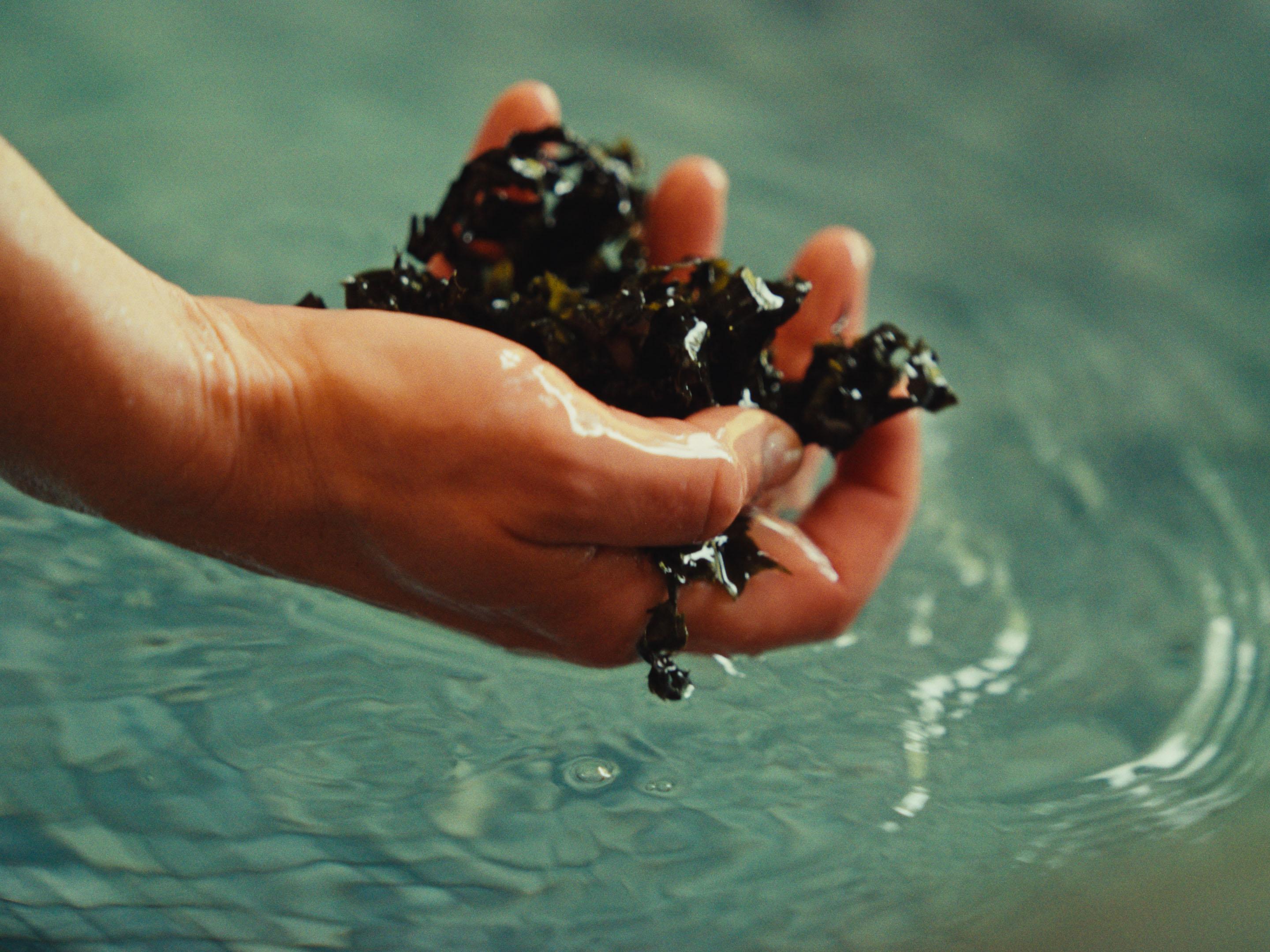 Sae Seaweed Bath Ritual